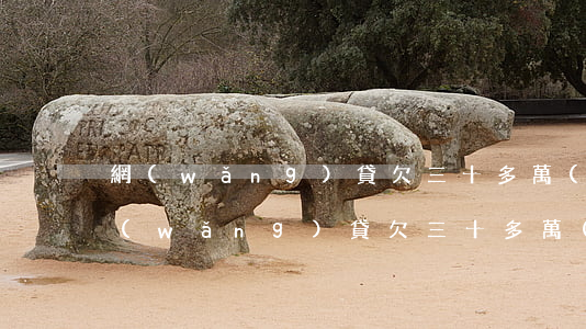 網(wǎng)貸欠三十多萬(wàn)(網(wǎng)貸欠三十多萬(wàn),最后想一次性還清,用還利息和罰金嗎)