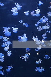 網(wǎng)貸欠三十萬(wàn)沒(méi)錢(qián)換怎么辦(網(wǎng)貸欠三十萬(wàn)還不上怎么辦?)