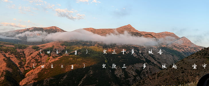 網(wǎng)貸欠三千多會被告詐騙嗎(網(wǎng)貸欠款三萬多會被起訴坐牢嗎)