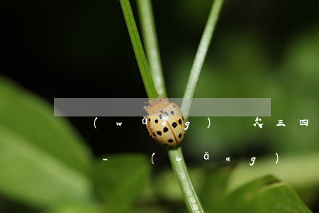 網(wǎng)貸欠三四十萬還不起要怎么辦-網(wǎng)貸欠三四十萬還不起要怎么辦呢