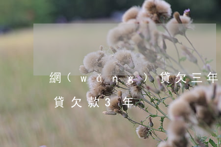網(wǎng)貸欠三年了(網(wǎng)貸欠款3年)