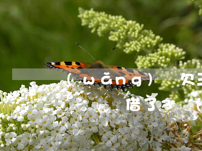 網(wǎng)貸欠三萬(wàn)塊錢影響車貸嗎(借了3個(gè)網(wǎng)貸車貸會(huì)影響嗎)