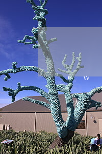 網(wǎng)貸欠三萬(wàn)算金額較大嗎(網(wǎng)貸3萬(wàn)算大額嗎)