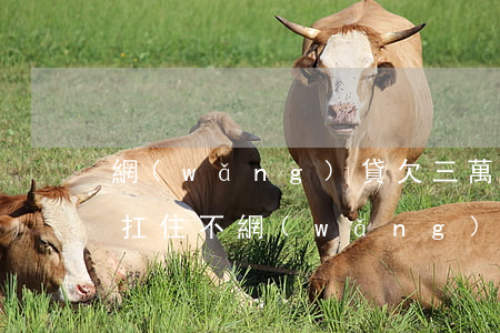 網(wǎng)貸欠三萬(wàn)自己能扛住不(網(wǎng)貸欠三萬(wàn)自己能扛住不)
