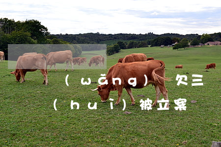 網(wǎng)貸欠三萬(wàn)逾期會(huì)被立案嗎(網(wǎng)貸逾期3千多能起訴)