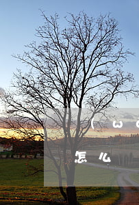 網(wǎng)貸欠三萬(wàn)還不起怎么辦(網(wǎng)貸欠3萬(wàn)不還會(huì)怎么樣)