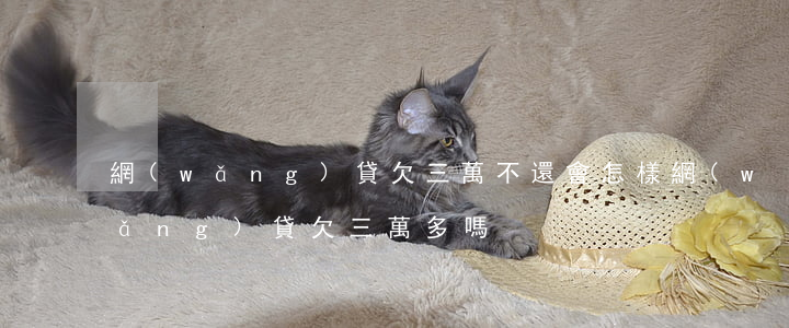 網(wǎng)貸欠三萬不還會怎樣(網(wǎng)貸欠三萬多嗎)