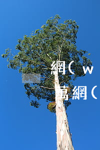 網(wǎng)貸欠三萬多會坐牢嗎(欠兩三萬網(wǎng)貸用坐牢嗎)