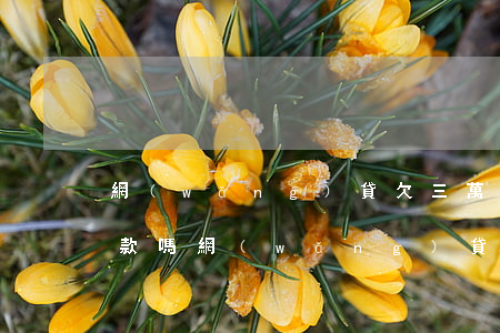 網(wǎng)貸欠三萬多沒逾期買車能貸款嗎(網(wǎng)貸欠三萬多沒逾期買車能貸款嗎)