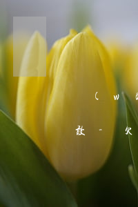 網(wǎng)貸欠三萬想跟家里坦白又不敢-欠了網(wǎng)貸三萬不敢跟家人說怎么辦