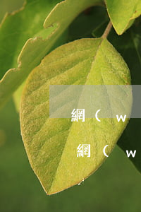 網(wǎng)貸欠三萬該怎么跟家里坦白(網(wǎng)貸3萬怎么跟家人坦白)