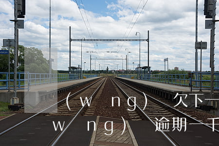 網(wǎng)貸欠下一萬多還款逾期(網(wǎng)貸逾期一千多)