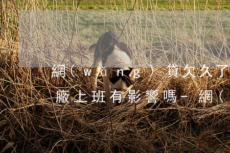 網(wǎng)貸欠久了未還進(jìn)廠上班有影響嗎-網(wǎng)貸欠久了未還進(jìn)廠上班有影響嗎知乎