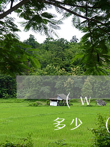 網(wǎng)貸欠了10個(gè)是值多少錢(qián)(欠幾十個(gè)網(wǎng)貸)