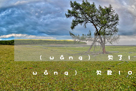 網(wǎng)貸欠了10多萬怎么辦(網(wǎng)貸欠款10萬怎么辦)