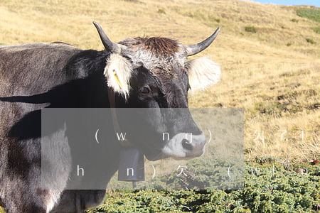 網(wǎng)貸欠了10多萬沒財產(chǎn)(欠網(wǎng)貸10幾萬家里又沒錢)