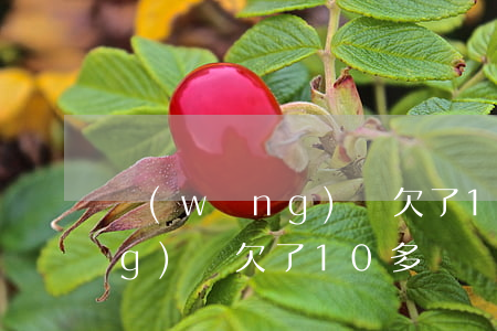 網(wǎng)貸欠了10多萬(網(wǎng)貸欠了10多萬還不起怎么辦)