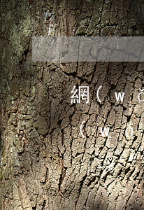 網(wǎng)貸欠了10幾萬怎么辦-網(wǎng)貸欠了10幾萬怎么辦呢