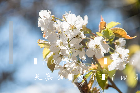 網(wǎng)貸欠了10萬(wàn)天天怎么辦(欠了網(wǎng)貸10多萬(wàn)怎么辦)