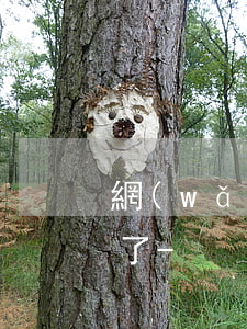 網(wǎng)貸欠了10萬不知道怎么辦了-