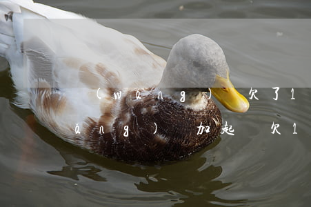 網(wǎng)貸欠了10萬算多嗎(網(wǎng)貸加起來欠10萬)