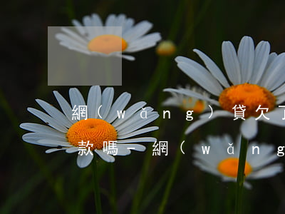 網(wǎng)貸欠了10萬還能去銀行貸款嗎-網(wǎng)貸借太多了該如何自救
