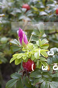 網(wǎng)貸欠了10萬還能貸款么(網(wǎng)貸欠了10萬還有救嗎)