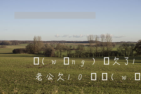 網(wǎng)貸欠了11萬怎么和媳婦說(老公欠10萬網(wǎng)貸還不跟家里說)