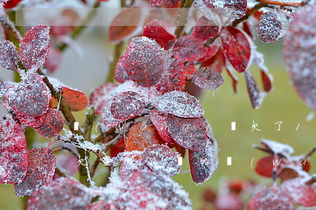 網(wǎng)貸欠了13萬不敢跟老公說(欠了10萬的網(wǎng)貸不敢跟老公說)