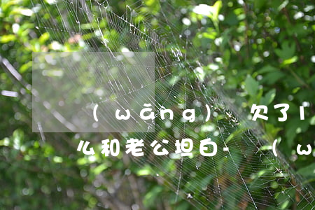 網(wǎng)貸欠了15萬(wàn)怎么和老公坦白-網(wǎng)貸欠了15萬(wàn)怎么和老公坦白呢