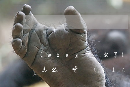 網(wǎng)貸欠了15萬(wàn)我該怎么辦呀請(qǐng)問-網(wǎng)貸欠了15萬(wàn)我該怎么辦呀請(qǐng)問怎么還