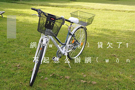 網(wǎng)貸欠了15萬(wàn)還不起怎么辦(網(wǎng)貸欠了15萬(wàn)還不起怎么辦)