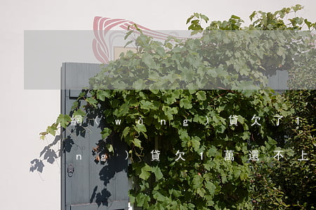 網(wǎng)貸欠了1千元不還(網(wǎng)貸欠1萬還不上怎么辦)