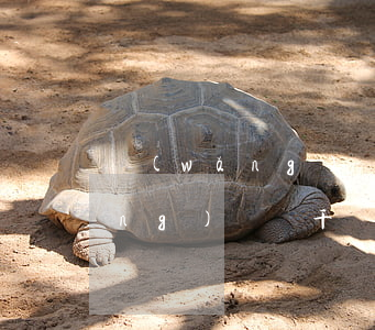 網(wǎng)貸欠了1萬塊錢(欠網(wǎng)貸幾千塊錢)