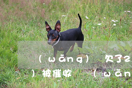 網(wǎng)貸欠了2000會(huì)被催收嗎(網(wǎng)貸被公安局催收怎么回事)