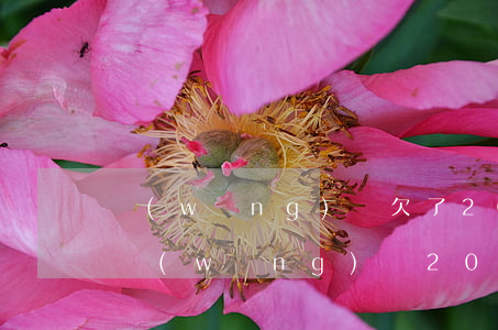 網(wǎng)貸欠了2000會坐牢么(欠網(wǎng)貸20多萬會坐牢嗎)