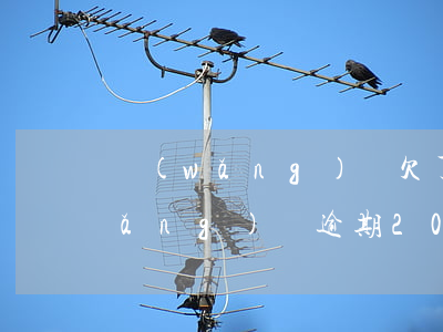 網(wǎng)貸欠了200逾期了(網(wǎng)貸逾期200天怎么辦)