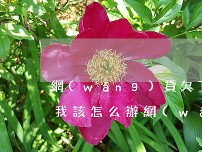 網(wǎng)貸欠了20多萬(wàn)我該怎么辦(網(wǎng)貸欠了二十多萬(wàn)怎么辦)