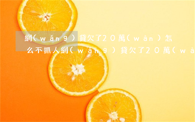 網(wǎng)貸欠了20萬(wàn)怎么不抓人(網(wǎng)貸欠了20萬(wàn)怎么不抓人)