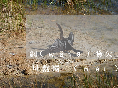 網(wǎng)貸欠了20萬(wàn)父母幫還(沒(méi)勇氣跟父母坦白網(wǎng)貸欠了20萬(wàn))