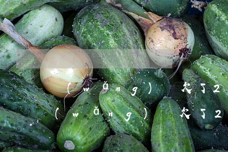 網(wǎng)貸欠了20萬怎么不抓人(網(wǎng)貸欠了20萬怎么不抓人)