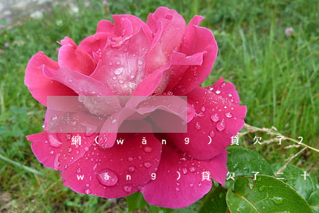 網(wǎng)貸欠了20萬怎么回血(網(wǎng)貸欠了二十萬怎么辦)