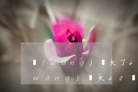 網(wǎng)貸欠了20萬怎么脫坑(網(wǎng)貸欠20萬如何走出來)