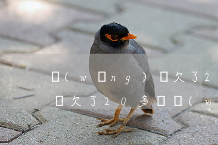 網(wǎng)貸欠了20萬怎么跟家里人說(欠了20多萬網(wǎng)貸怎么和家人說)