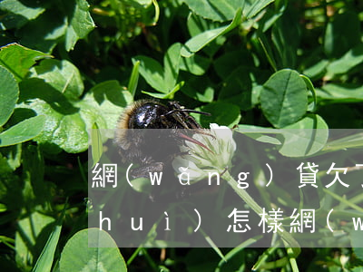 網(wǎng)貸欠了2200兩年后會(huì)怎樣(網(wǎng)貸都欠2000有沒(méi)有事)