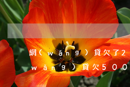 網(wǎng)貸欠了2500嚴重嗎(網(wǎng)貸欠5000)