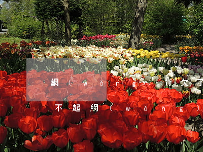 網(wǎng)貸欠了25萬(wàn)還不起(網(wǎng)貸欠了25萬(wàn)還不起)