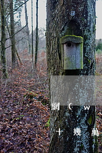 網(wǎng)貸欠了25萬怎么上岸(欠了十幾萬網(wǎng)貸怎么上岸)