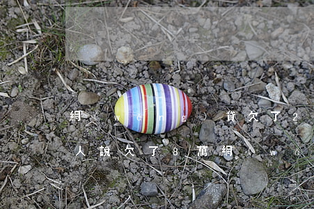 網(wǎng)貸欠了28萬怎么開口對家人說(欠了8萬網(wǎng)貸要不要和父母說)