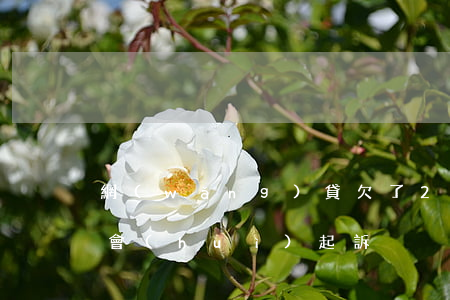 網(wǎng)貸欠了2萬(wàn)多久會(huì)起訴